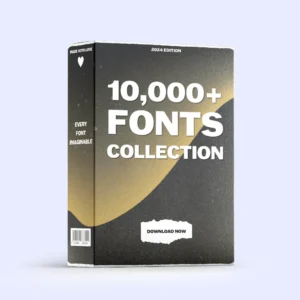 Animated Fonts Bundle